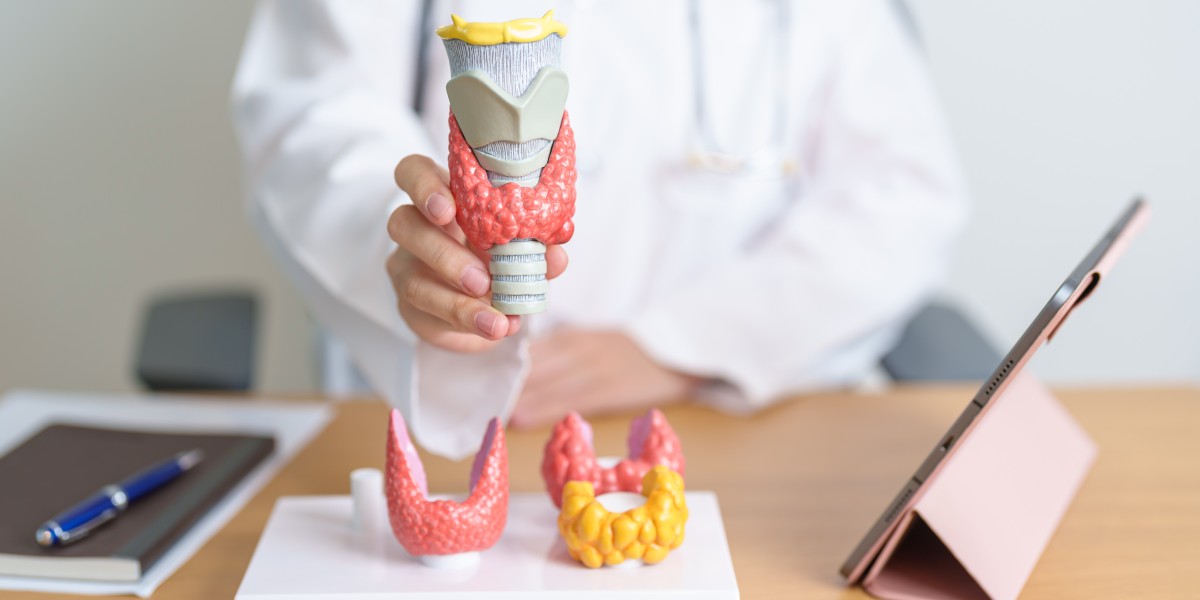 What Are the Common Endocrine Disorders?