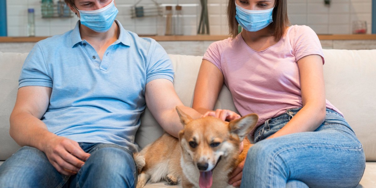 NexGard Without Vet Prescription