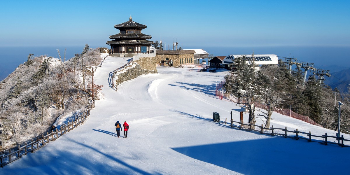 Himachal Package – Explore the Mountains with The Vacation Masters