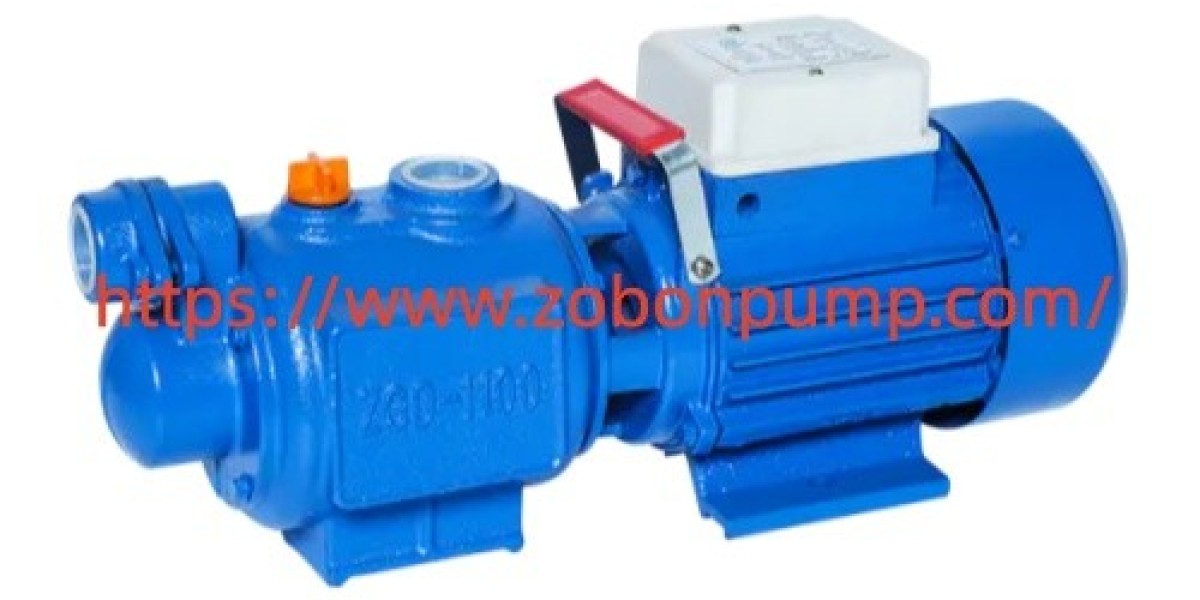 How Does Zobonpump Support Water Peripheral Booster Pump Applications