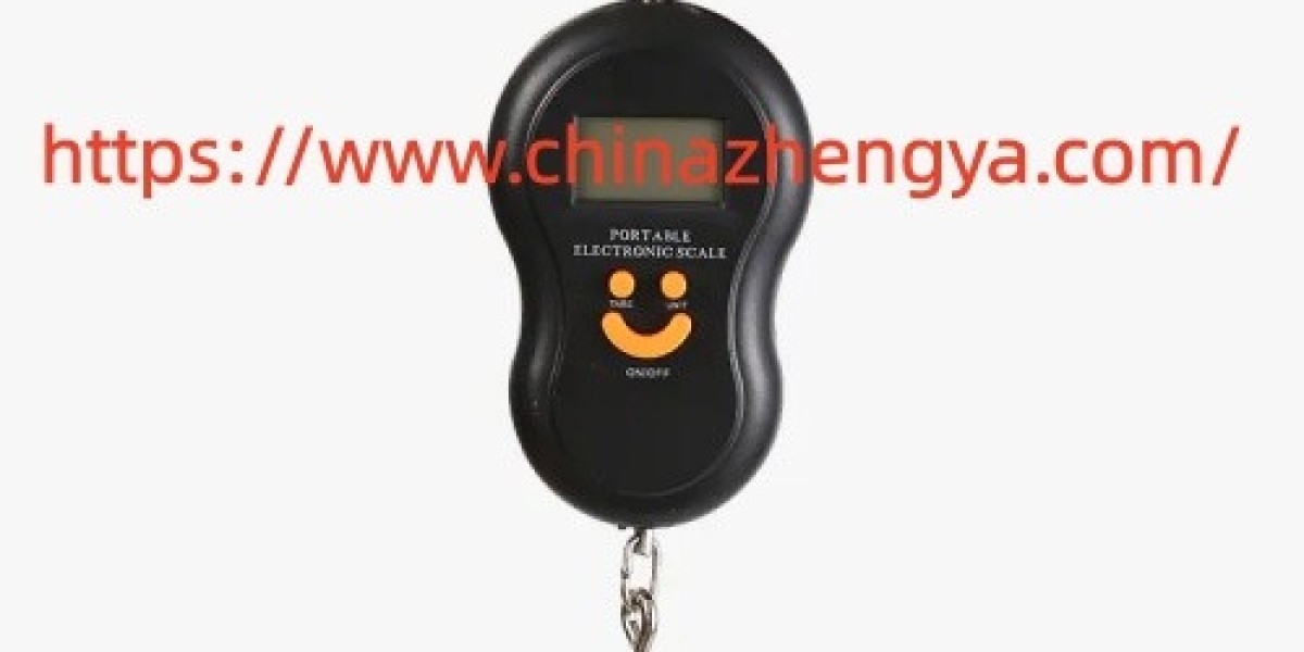 What Should Chinazhengya Portable Crane Scale Buyers Check Before Purchasing