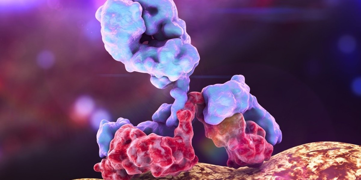 Bridging the Translational Gap in Immuno-Oncology: The Synergy of Humanized and CDX Mouse Models
