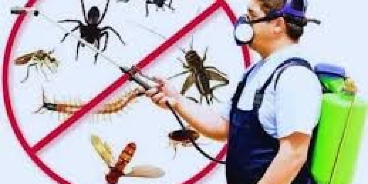Best Pest Control Services for Long-Lasting Protection Against Pests