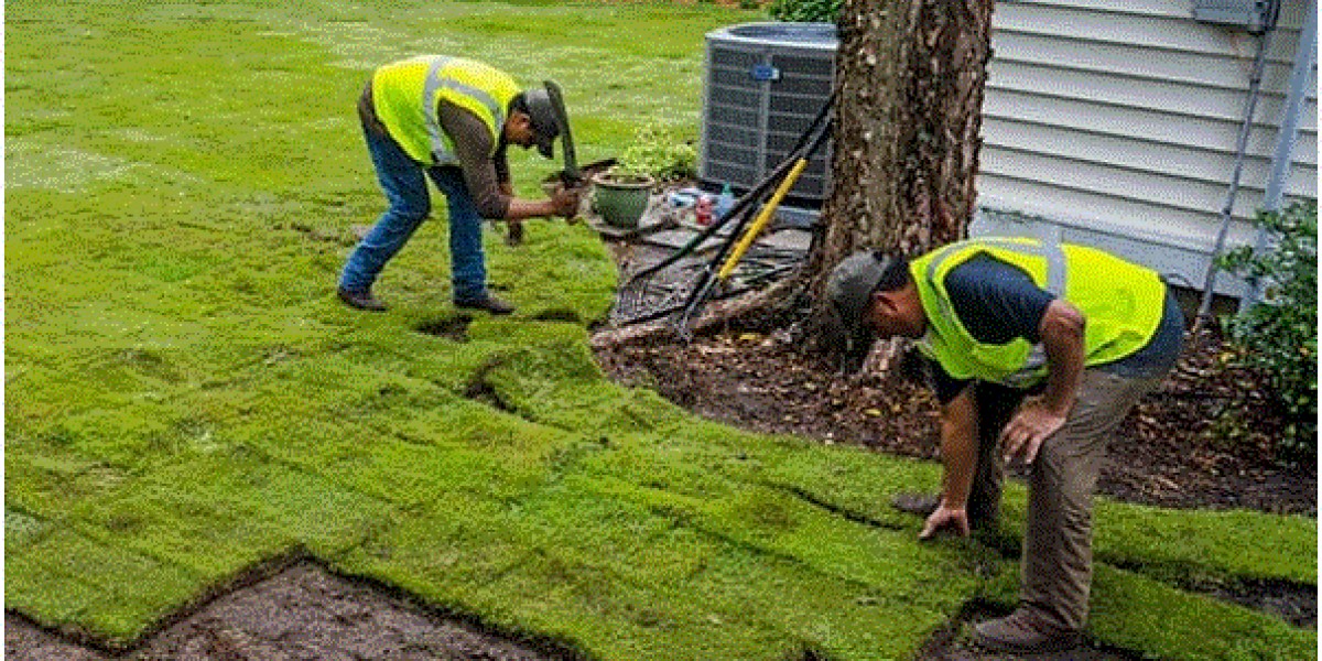 Sod Installation Mansfield TX: A Complete Guide to Creating a Lush and Healthy Lawn
