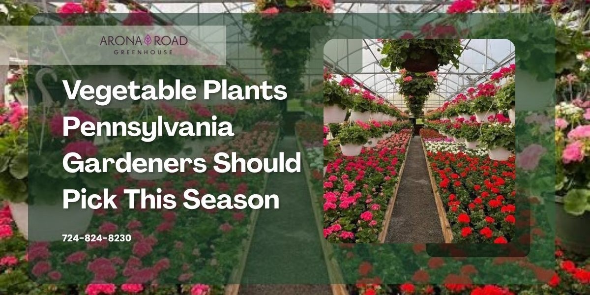 Vegetable Plants Pennsylvania Gardeners Should Pick This Season