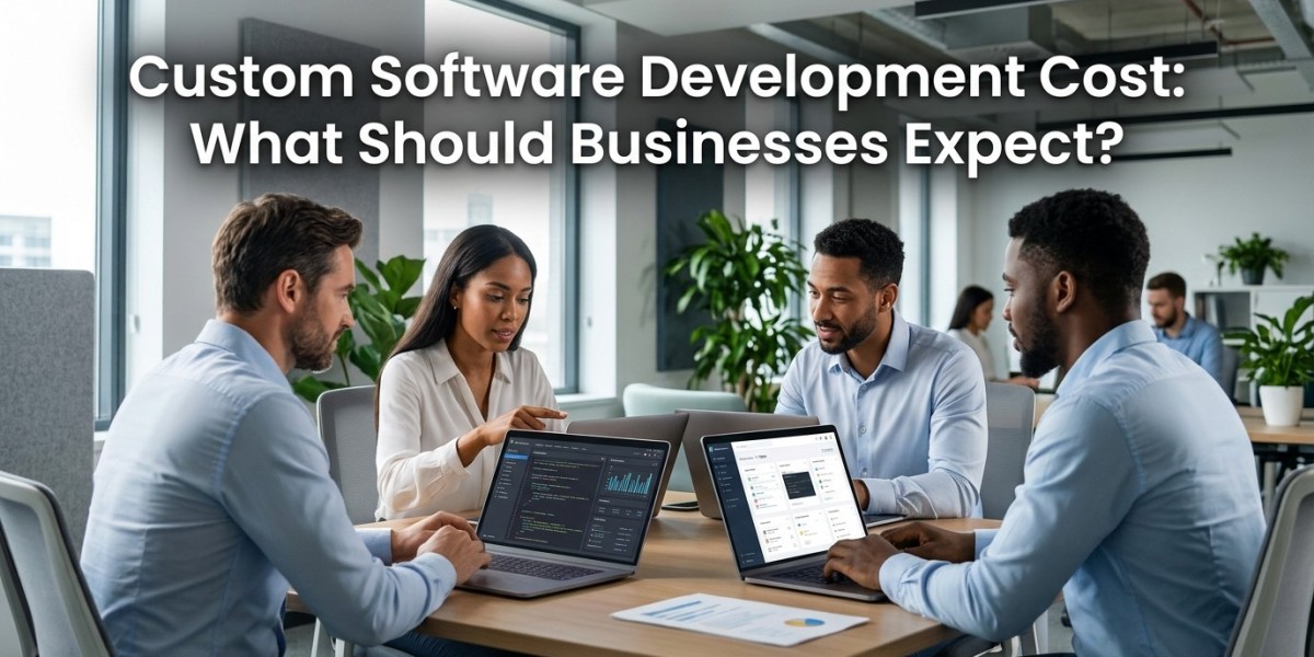 Custom Software Development Cost: What Should Businesses Expect?