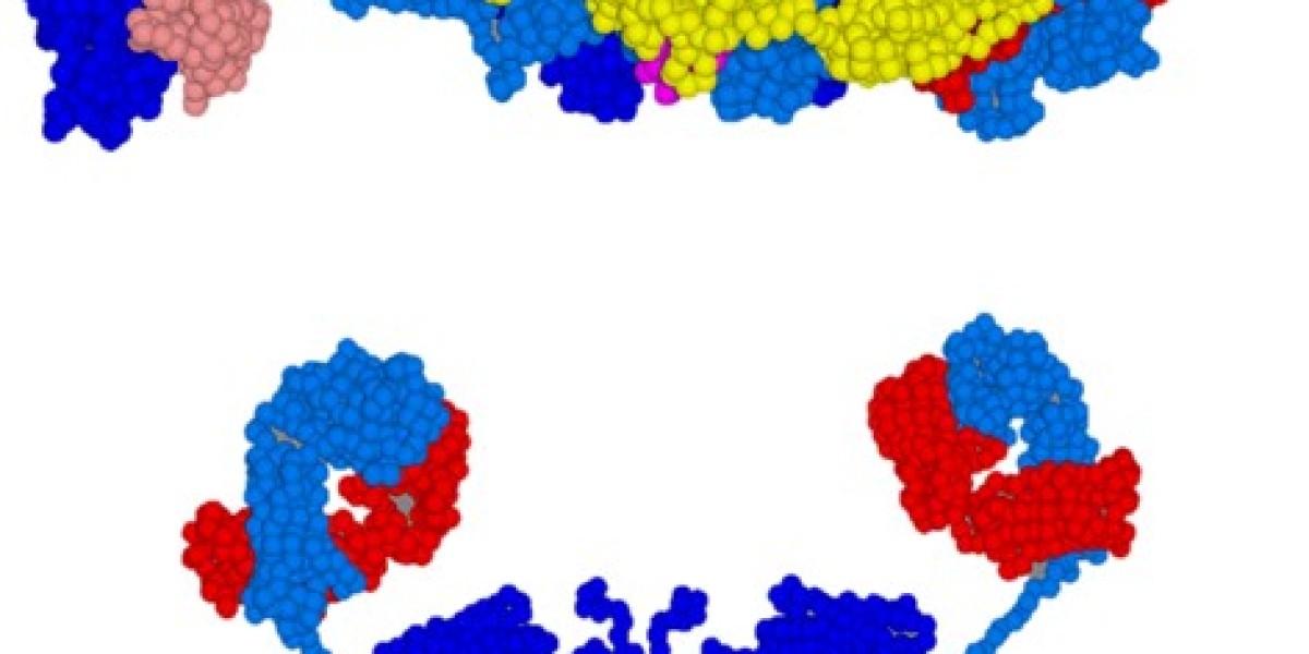 Bridging Proteomics and Genomics: The Engineering and Application of Antibody-Oligonucleotide Conjugates