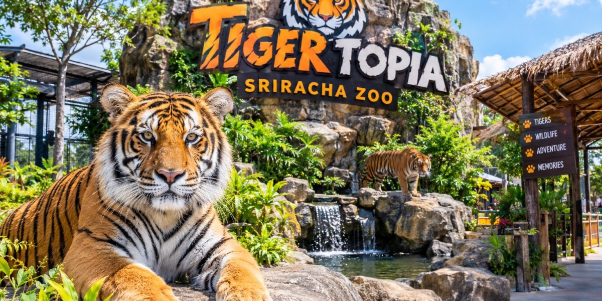 Tiger Topia Sriracha Zoo: An Exciting Wildlife Adventure Near Pattaya