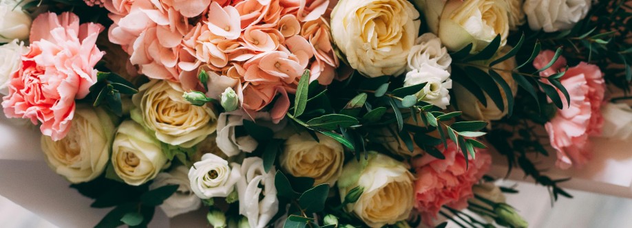 thebloom room Cover Image