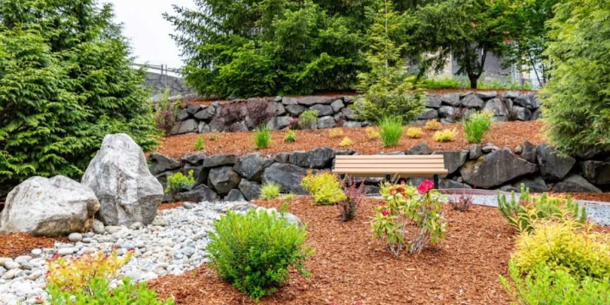 Transformed Landscaping Co.: Modern Landscape Design in Austin TX for Contemporary Homes