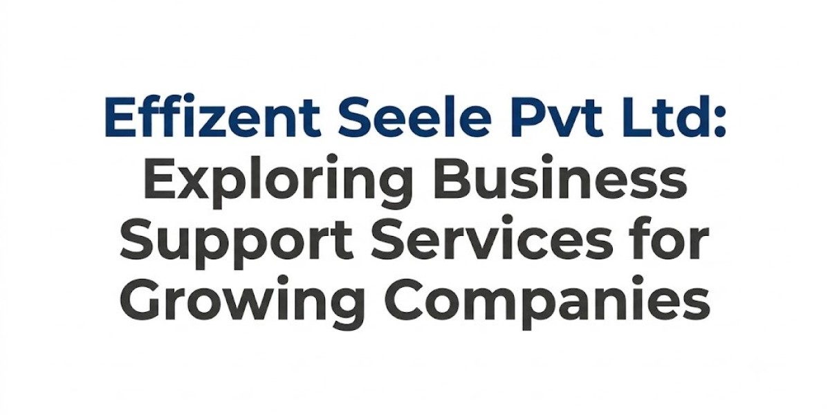 Effizent Seele Pvt Ltd: Exploring Business Support Services for Growing Companies