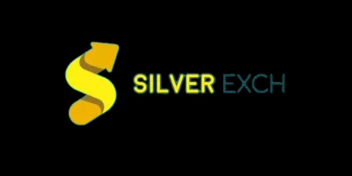 SilverExchange: A Complete Guide to Smart Online Access and Digital Security